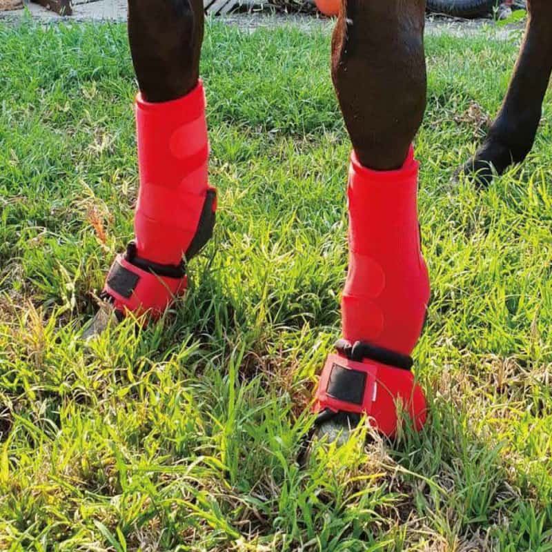 Bell Boots