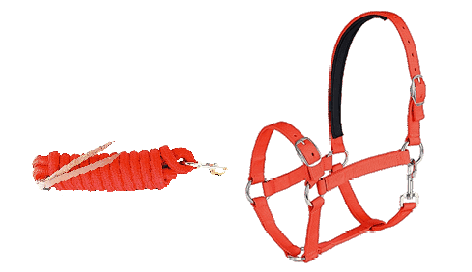 Headcollars & Lead Ropes