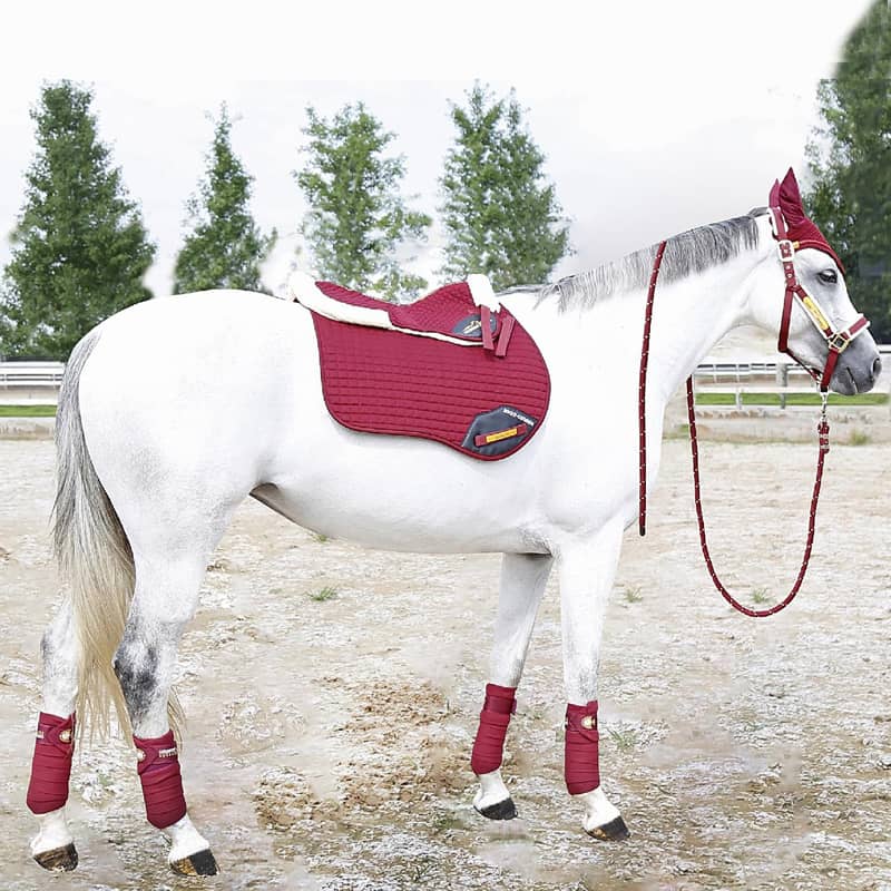 Premium saddle pads and horse protection gear including bell boots and leg wraps