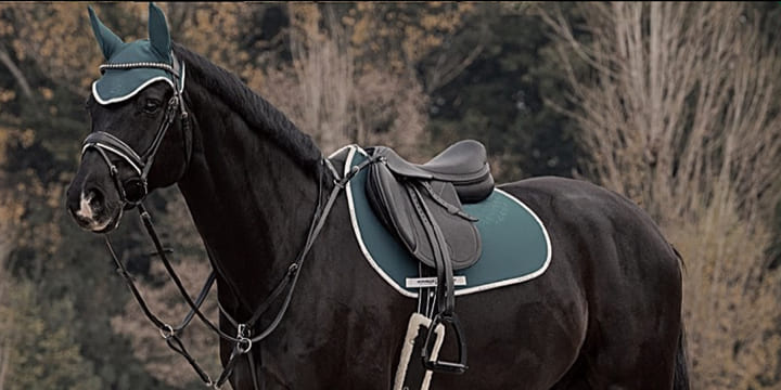 Horse Products