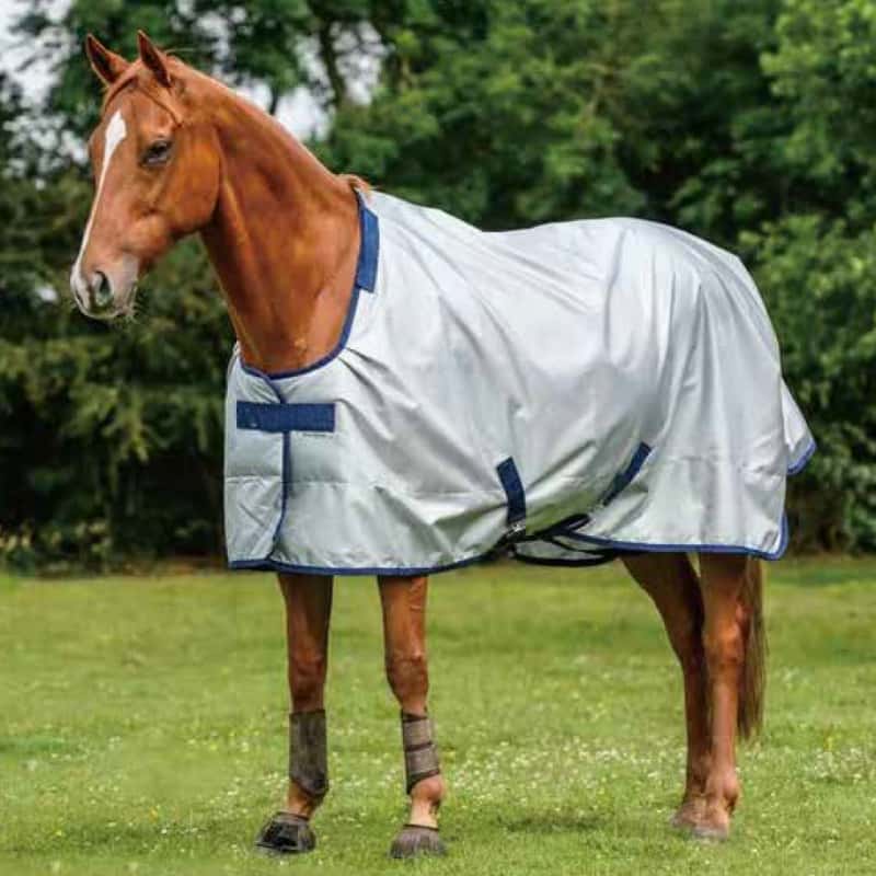 Horse Body Brush