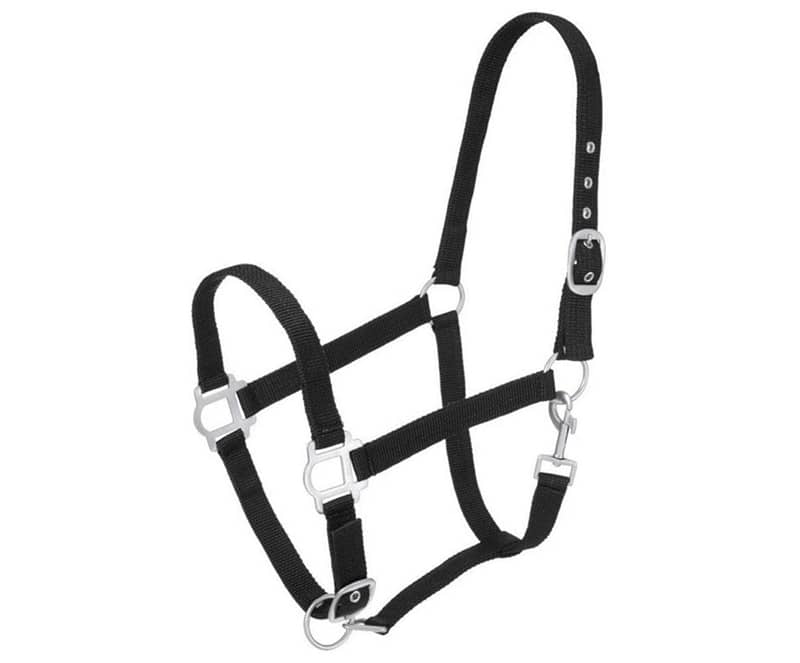 Nylon Headcollar