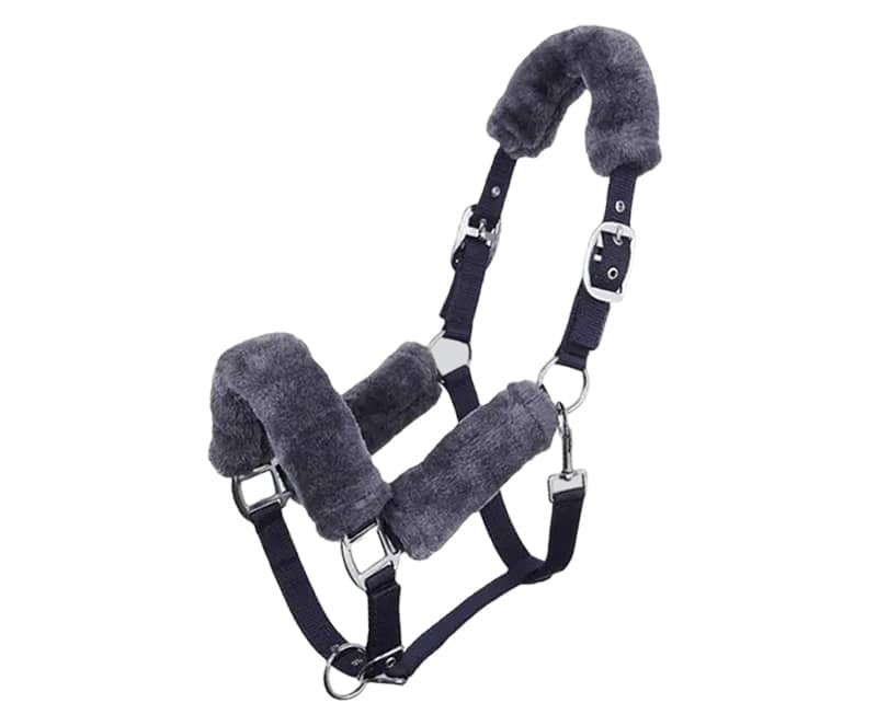 Safety Headcollar